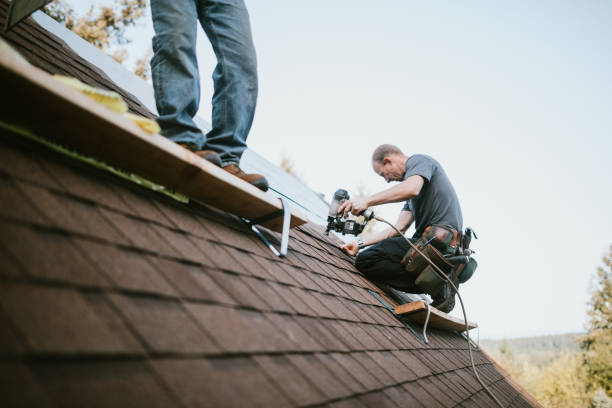 Best Roof Gutter Cleaning  in Gordonsville, VA